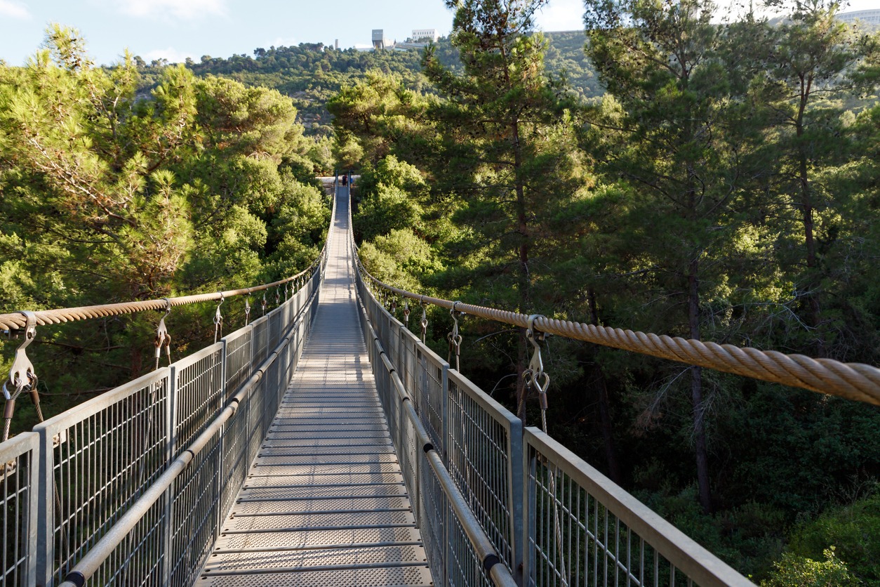 nesher park bridge