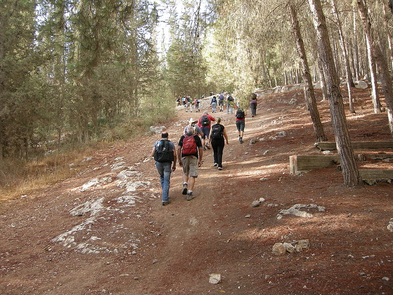 people walking on upslope terrain