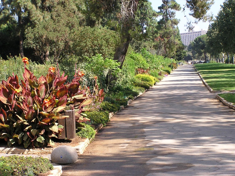 Jerusalem University Botanic Gardens