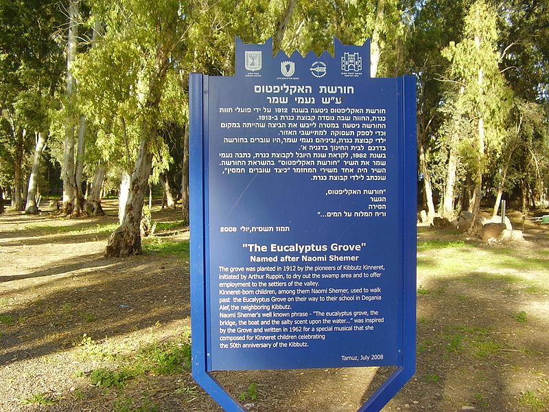 A blue signage among trees