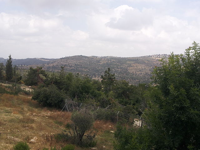 Cycling in the Jerusalem Hills