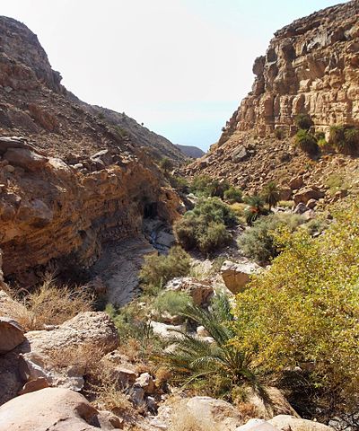 Rami’s Guide to Hiking in the Dead Sea Area