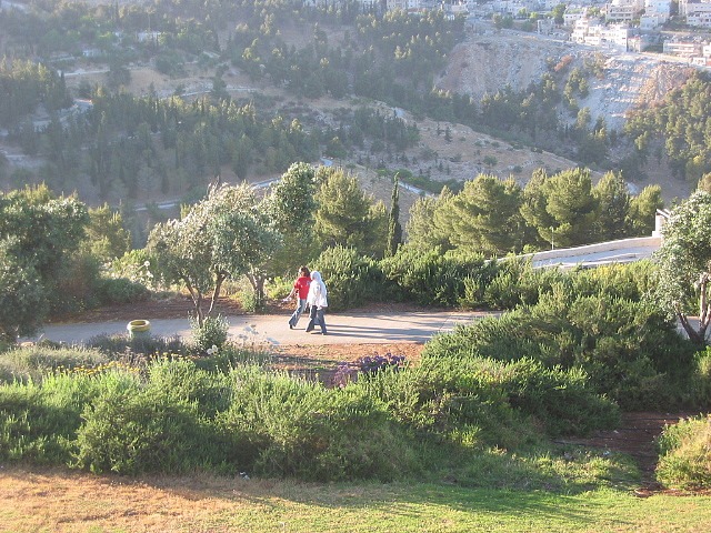 two children walking in the park