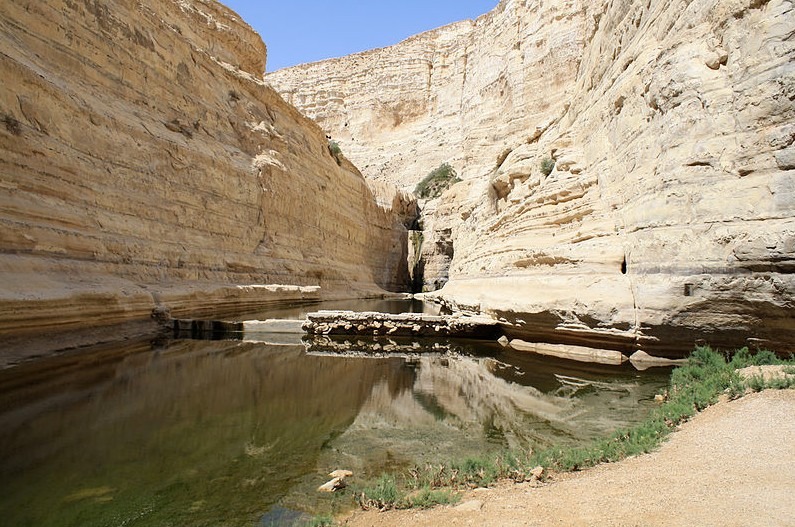 Ein Avdat – Canyon and Springs in the Negev Highlands