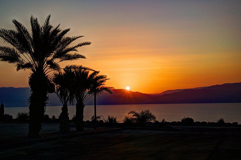 sunset and a silhouette of palm trees and mountains