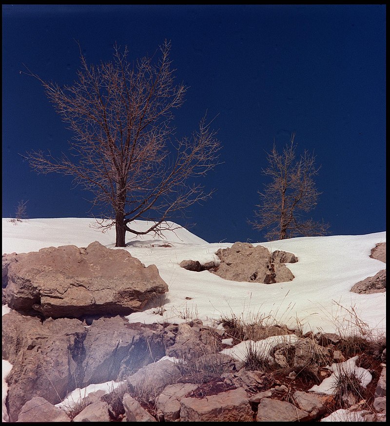 A place of snowy ground, barren trees and rocks