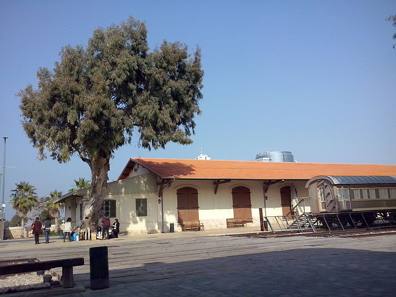 a tree and a building with orange roof