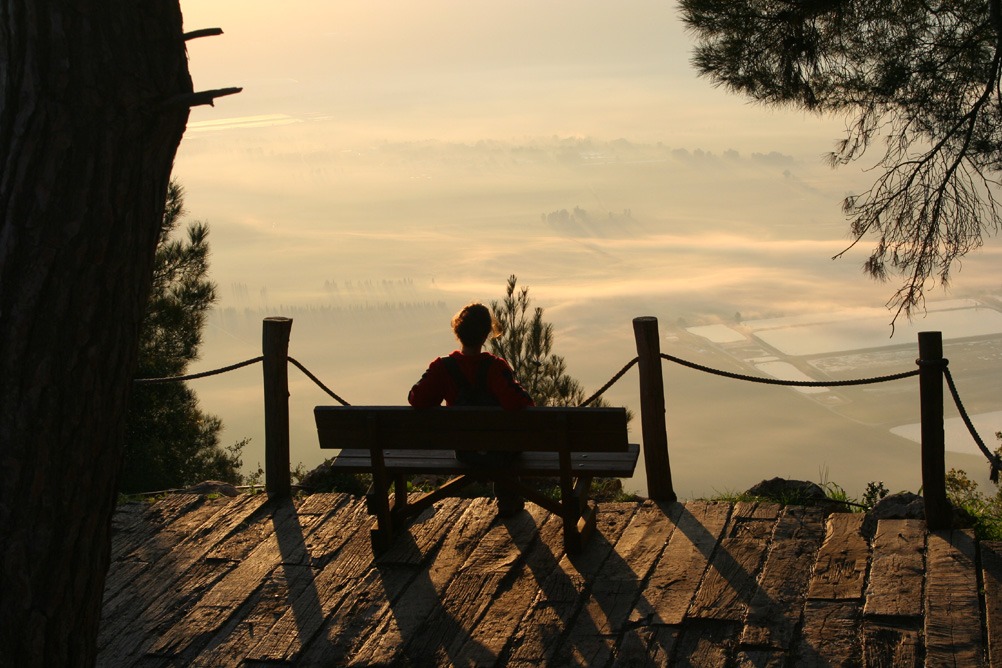 person sitting on a bench overlooking a misty landscape