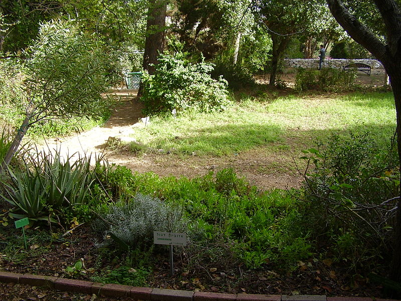 technion ecological garden