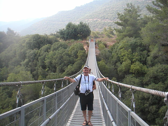 visitors at a hanging bridge in Nesher Park