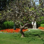 Sculptures Garden (Gan Hapsalim or Ursula Malbin Sculptures Park)